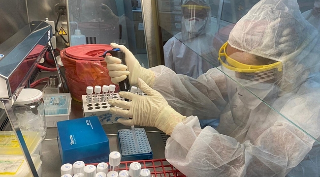 Sinovac aşısında yüzde 99,6 oranında antikor yanıtı saptandı