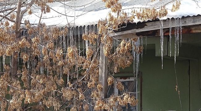 Soğuk hava Ağrı'da etkili olmaya devam ediyor