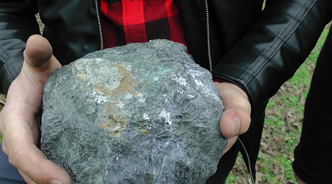 Sohbet ettikleri bahçeye gürültü ile düşen 9.5 kiloluk taş meteor sevinci yaşattı
