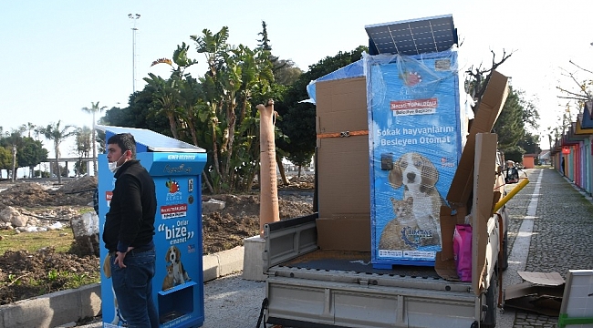 Sokak hayvanları için güneş enerjisiyle çalışan mamamatikler kuruldu