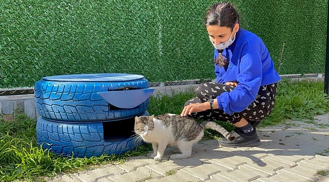 Sokak kedileri de açıkta kalmayacak