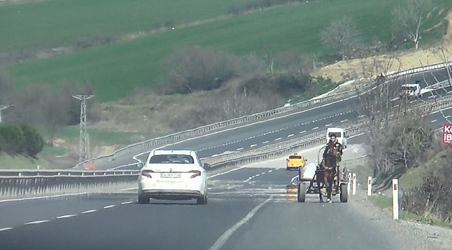 Ters şeride giren at arabası korkuttu