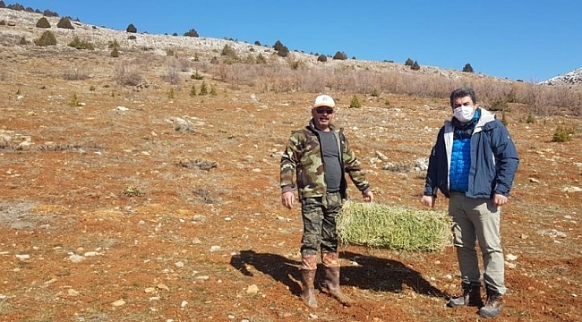 Tufanbeyli'de yaban hayatı için seferberlik