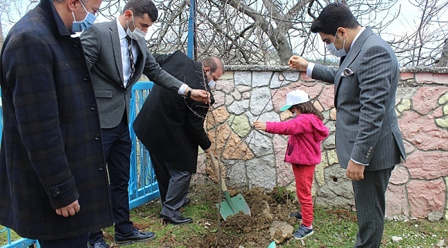 Türkeli'de Orman Haftası etkinlikleri