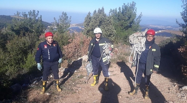 Uçurumda mahsur kalan keçileri itfaiye kurtardı