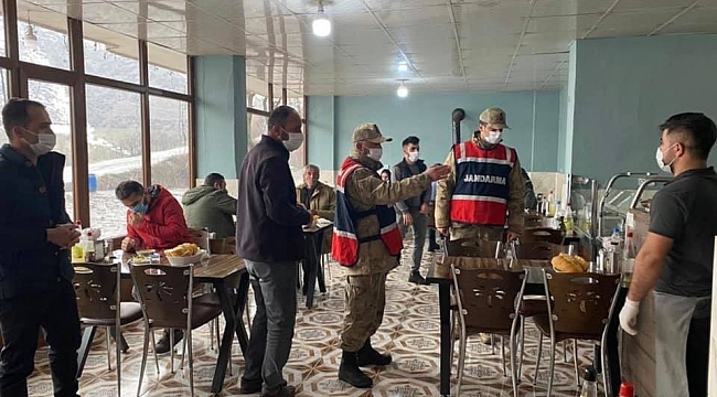 Uludere'de korona virüs denetimi