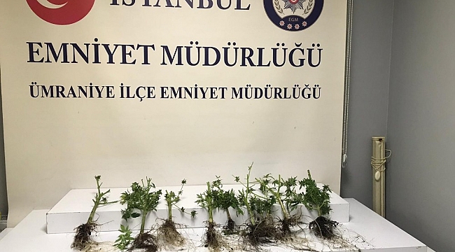 Ümraniye'de uyuşturucu imal edilen eve baskın