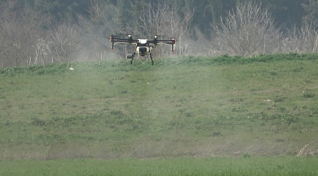 Üniversitenin buğdayları drone ile ilaçlandı