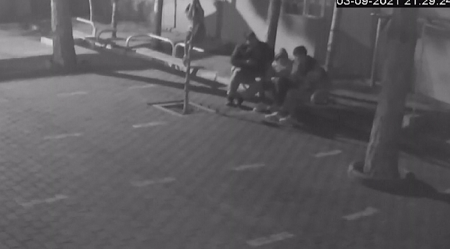 Yaptığıyla hayrete düşüren kadının kırdığı ağacın yerine ıhlamur ağacı dikildi