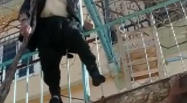 Yaşlı adam çıktığı ağaçta asılı kaldı