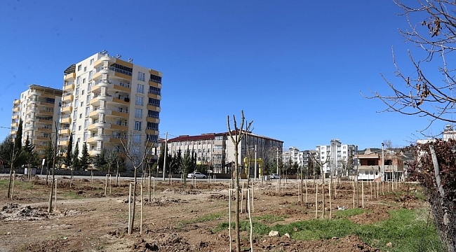 Yeni mahalleye 'Mahalle Bahçesi' yapıldı