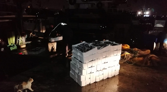 Yenikapı'da su ürünleri denetiminde 25 kasa lüfere el konuldu