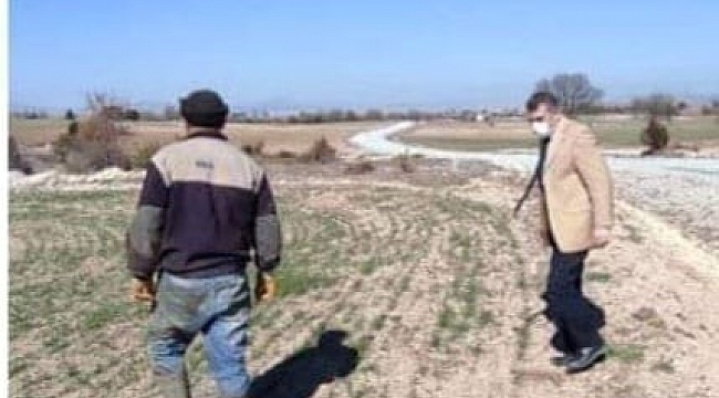 Yerli ve milli buğday tohumu ekili alanlar kontrol edildi