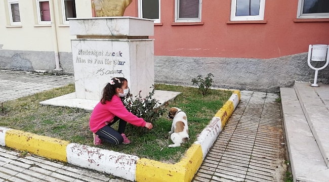 YİBO öğrencileri sahiplendikleri sokak köpeğine okul bahçesinde bakacaklar
