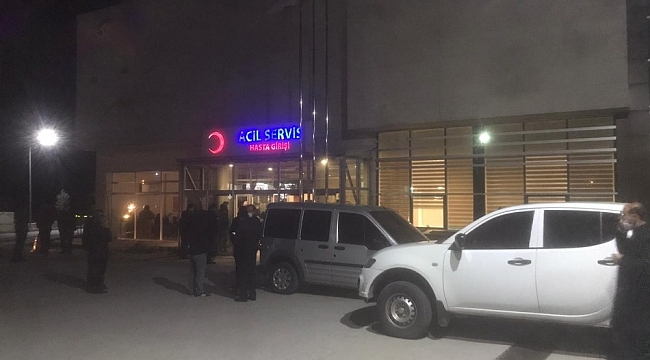 Yolda yürürken aracın çarptığı 2 kardeş hayatını kaybetti