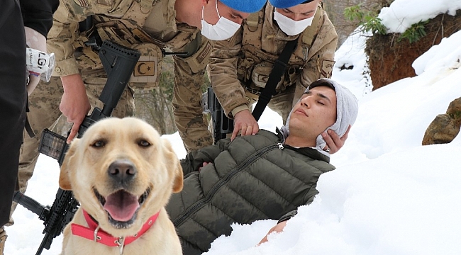 Zonguldak Jandarması'nın 'süper burun' köpekleri