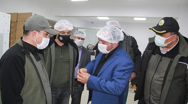 Adana'ya bal ormanları kurulacak