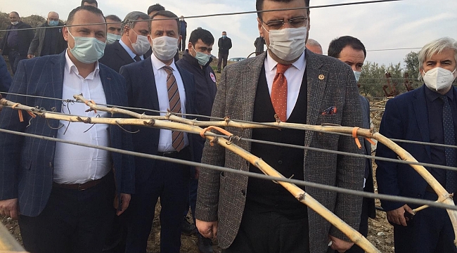 AK Parti'li Akkal Alaşehir'de dondan zarar gören bağlarda incelemede bulundu