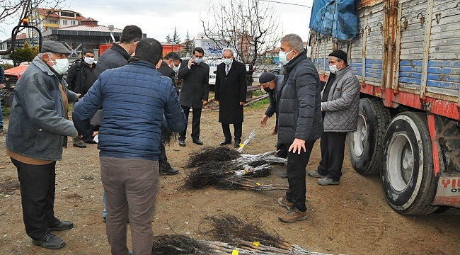 Akşehir'de üreticilere ceviz fidanı dağıtıldı
