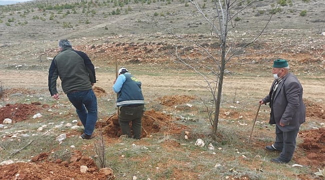 Altıntaş'ta ''Bal ormanı'' çalışmaları