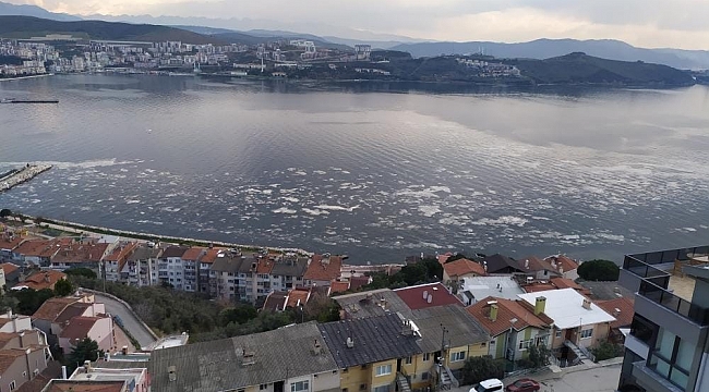 Gemlik Körfezi beyaza büründü
