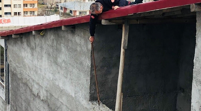 Bingöl'de ipe takılan güvercin kurtarıldı