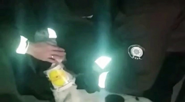 Boynuna kelepçe ile teneke bağlanan köpeğin yardımına bekçiler koştu
