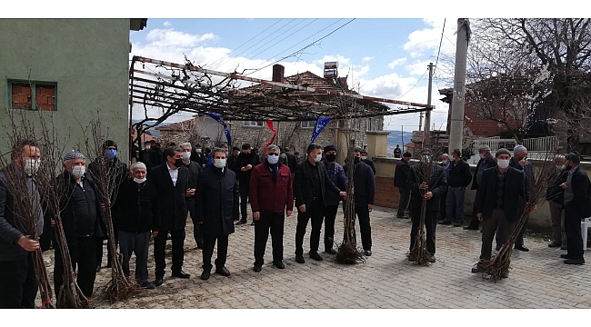 Bursa’nın dağ ilçeleri meyvecilikle kalkınacak