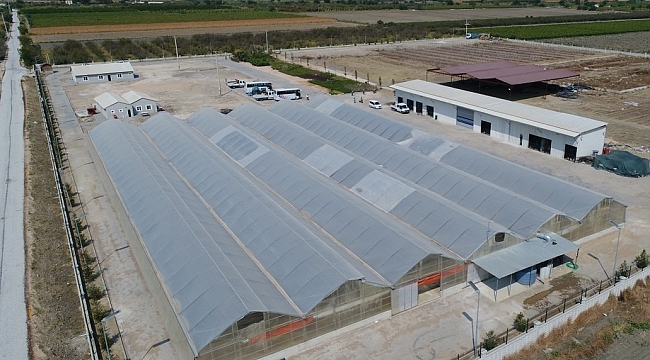 Büyükşehir, 250 bin metrekare peyzaj çalışması yapacak