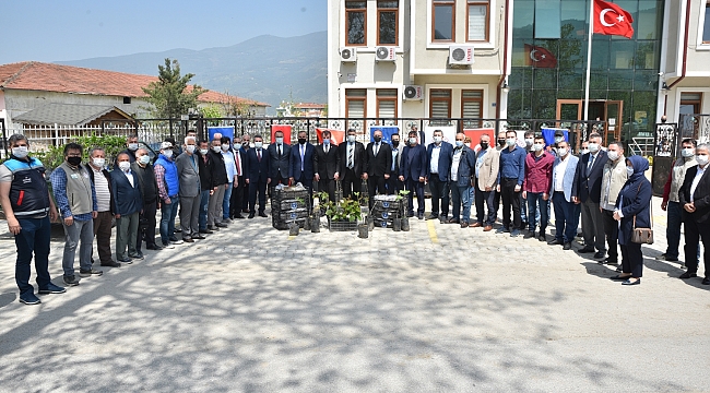 Çiftçiye fidan desteği