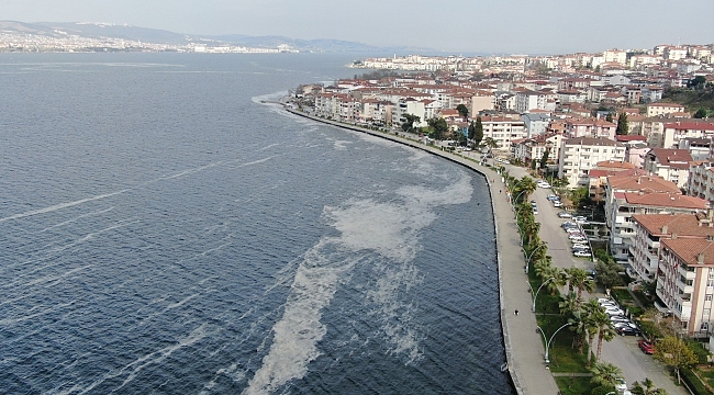 Deniz salyası İzmit Körfezi'ni beyaza bürüdü