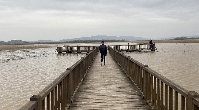 Efteni Gölü'nün su seviyesi iskeleye kadar yükseldi