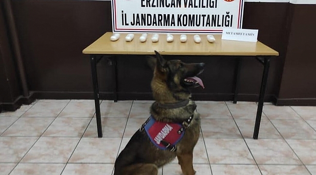 Erzincan'da polis ve jandarmadan uyuşturucu operasyonu