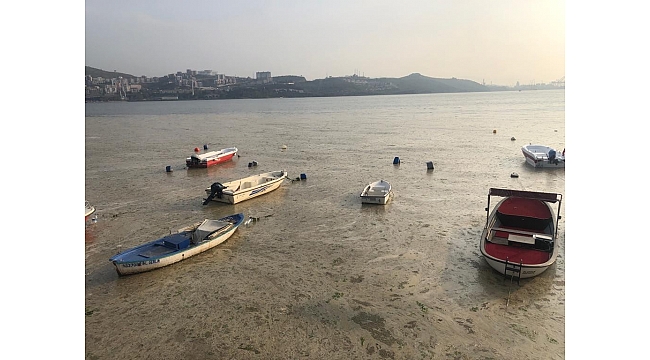 Gemlik'te şaşırtan görüntü