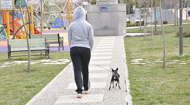 Hafta sonu parklar köpeklerini gezdiren vatandaşlara kaldı