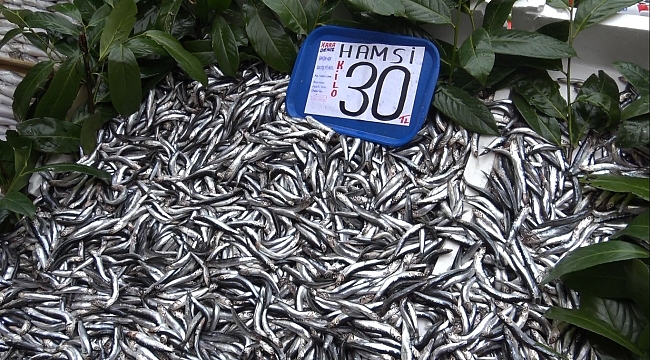 Hamsinin tezgahlarda son demleri: Kilosu 30 TL
