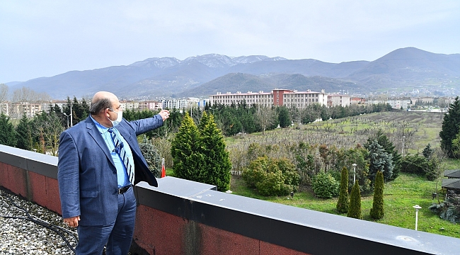 Hastalıklı meyce ağaçları rehabilite edilecek