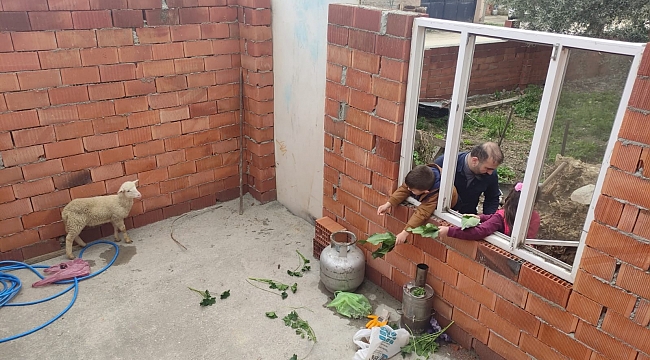 Hayırsever kardeşlere kuzu sürprizi