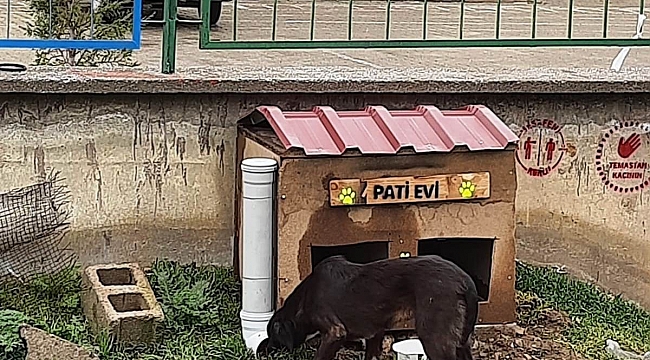 Hisarcık Şehitler Ortaokulu'nda "Pati Evi" projesi