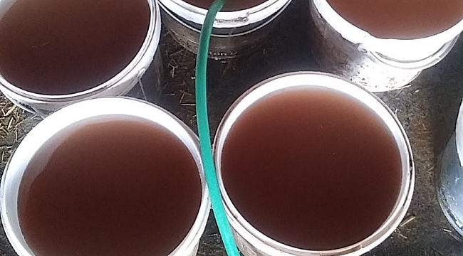 Limonata değil şebeke suyu: Hayvanlar bile içemedi