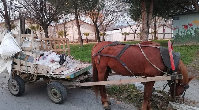 Manisa'da at arabaları trafikten men edildi