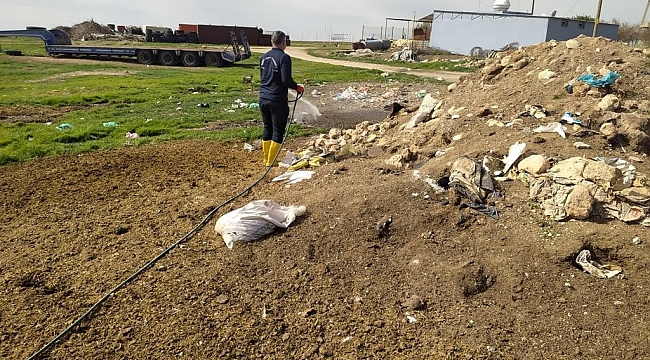 Mardin'de sinek ve haşerelere karşı ilaçlama çalışması başlatıldı