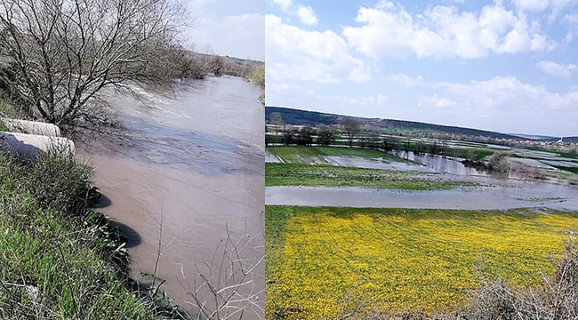 Mudanya'da tarım arazileri sular altında kaldı