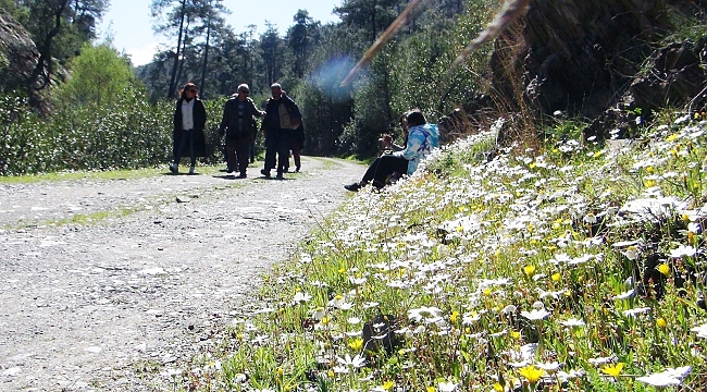 Muğla'nın akciğerlerine ziyaretçi akını