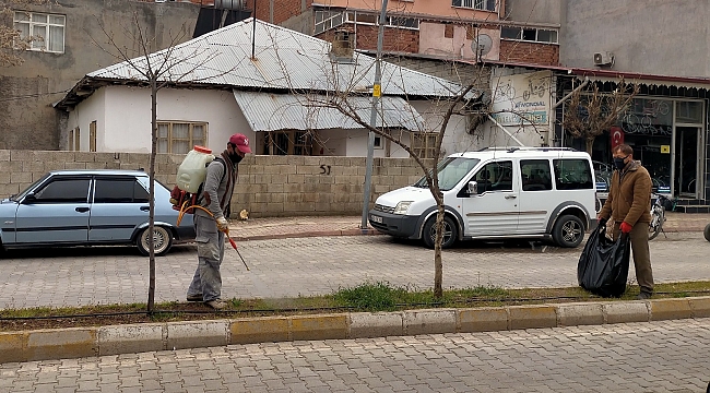 Otluk alanlarda ilaçlama çalışması yapılıyor