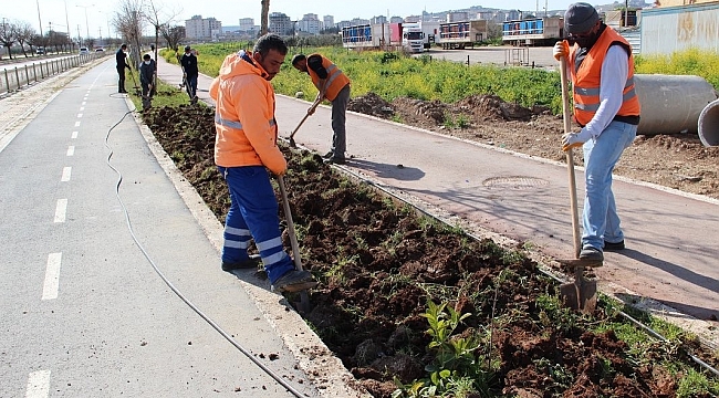 Park ve yeşil alanlarda çalışmaları hız verildi