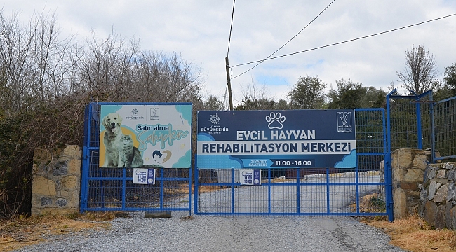 "Evcil Hayvan Rehabilitasyon Merkezi 10 gün içinde yeniden ziyarete açılacak