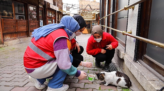 Safranbolu'dan Genç Kızılay faaliyete başladı