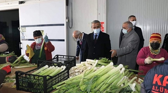 Samsun'da yetişen sebzelere yurt dışından yoğun talep