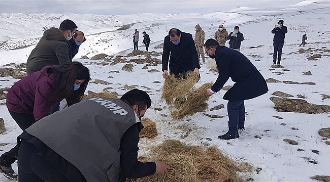 Yaban hayvanları için yemleme çalışması sürüyor